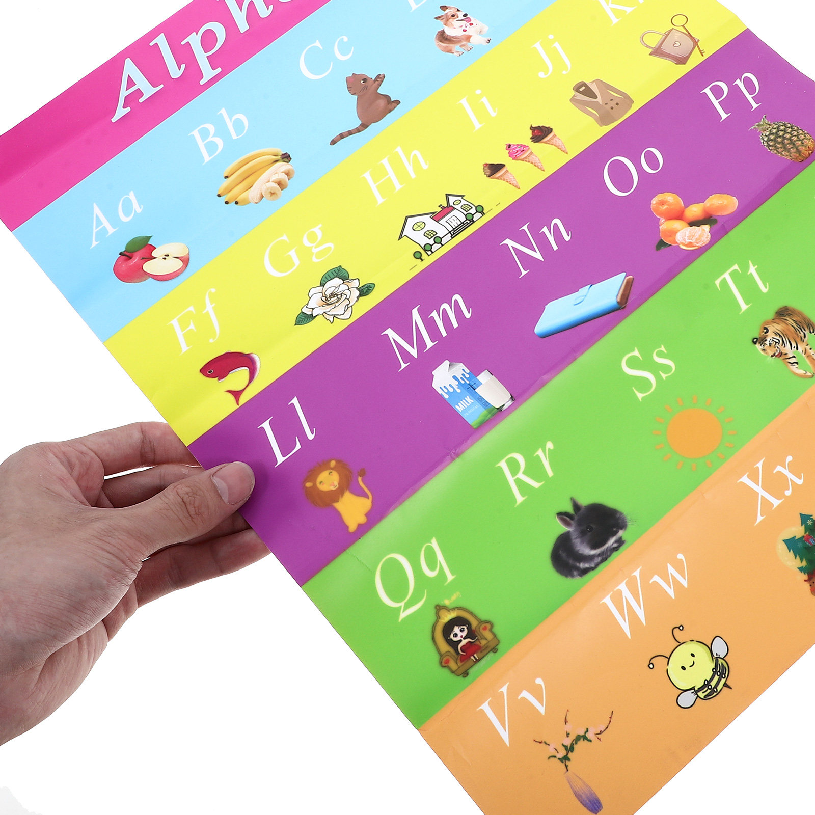 Póster educativo para niños, d - Kids Educational Posters reseña y precio